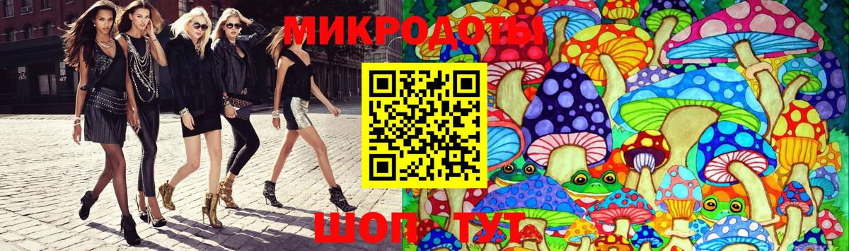 Псилоцибиновые грибы Psilocybe Нижневартовск