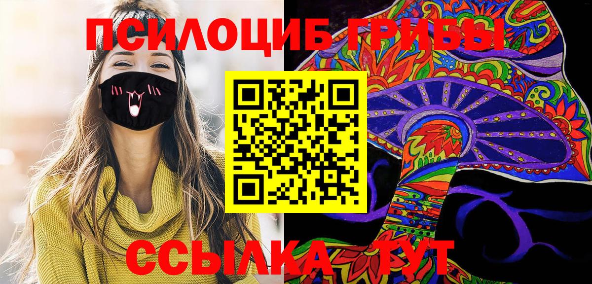 Нижневартовск  хочу наркоту  Вход с VPN  Псилоцибиновые грибы Cubensis 